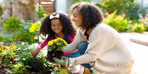 Burghblooms presents Grow Your Own Cut Flower Garden