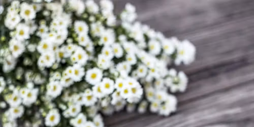 Make & Take: Winter Wellness Kit