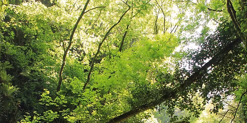 Il Fosso del Peccato a Calcata, dopo quattro anni!