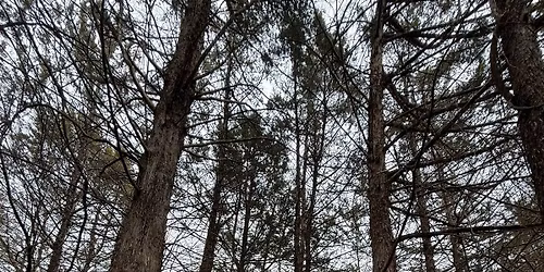 Krug Trail Maintenance Workday