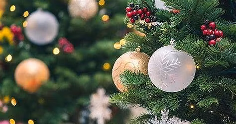 Fusion Kerstconcert 2025