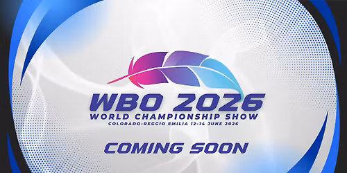 World Championship Show WBO 2026 - Colorado Reggio Emilia