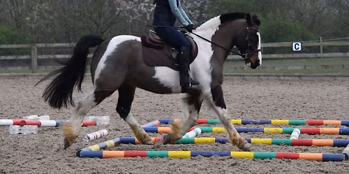 Ashley Suddes Pole work and Cavaletti clinic