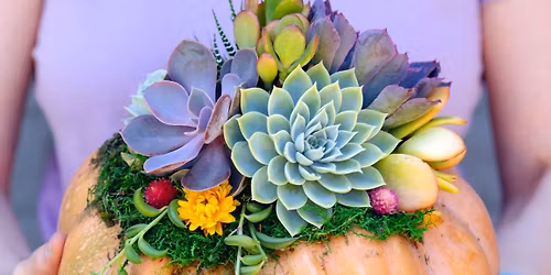 Pumpkin Decorating Workshop in Gig Harbor