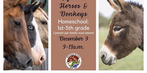Homeschool 1st-5th: Equine - Horses & Donkeys