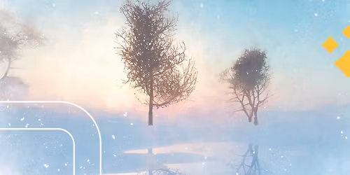 Day of Solstice Cheer