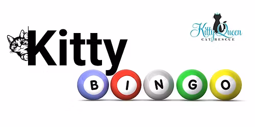 Kitty Bingo