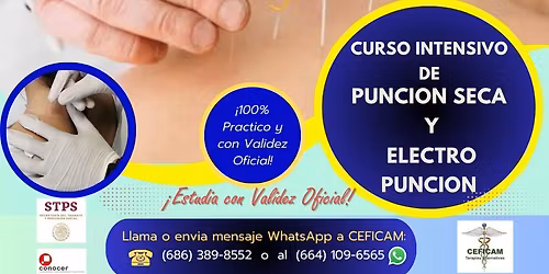 Curso Intensivo en Punci\u00f3n Seca y Electro Punci\u00f3n