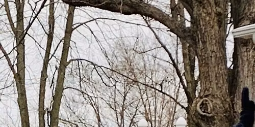 Live Like Sid -14th Annual SG&B 5K