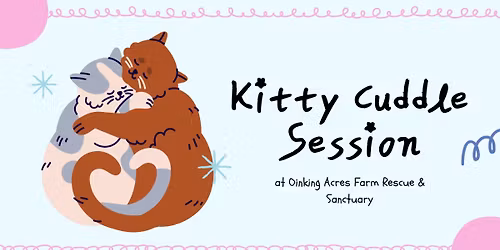 Kitty Cuddle Session
