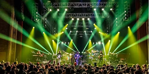 Dogs In A Pile at Pine Creek Lodge