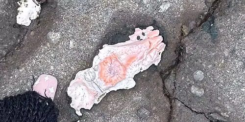 The geology of Dunure - Agate Hunting