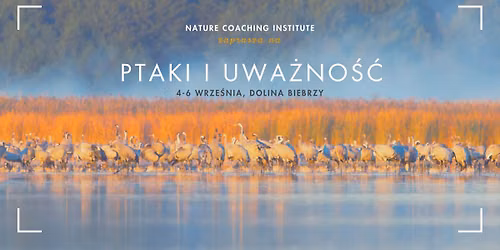Ptaki i uważność - weekendowy warsztat w dolinie Biebrzy i Narwi