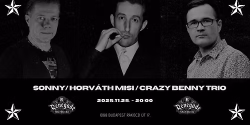 Sonny\/Horv\u00e1thMisi\/CrazyBenny Trio - Renegade Blues Bar, Budapest