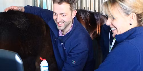 Beyond Basics: Practical Advanced Medical Ultrasound \u2013 A 1 \u00bd-Day Practical Course