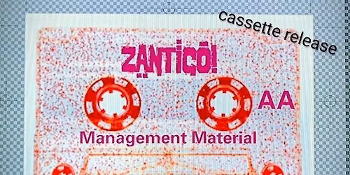 ZANTIGO!, Subtropolis, Katt Holiday