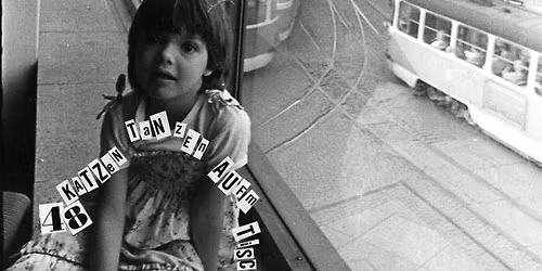 48 Katzen... tanzen auf'm Tisch