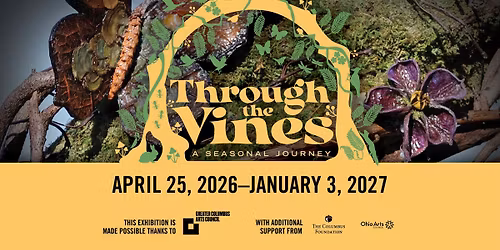 Through The Vines: A Seasonal Journey