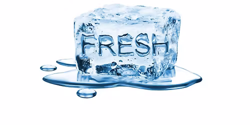 CONCERT POP ROCK Groupe "FRESH"