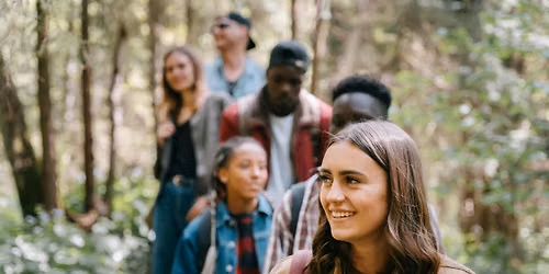 Walking into Clarity: A Mindful Nature Experience
