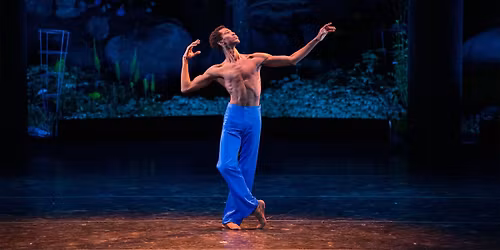 Toronto International Ballet Theatre - Seattle