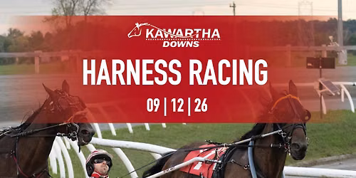 Live Harness Races \u2013 OSS Races \u2013 Owner for the Night