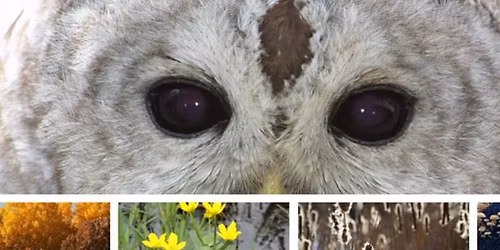 Women Outdoors: New Year's Eve