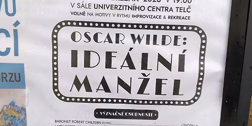 Idealni manzel v Univerzitnim centru