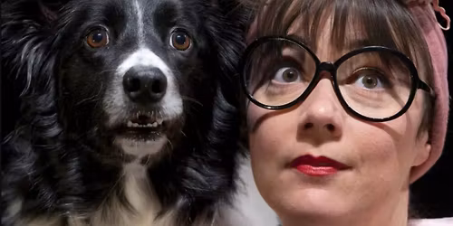 POIL DE LA B\u00caTE \u2022 Cirque