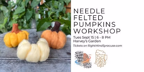 Needle Felted Pumpkins Workshop