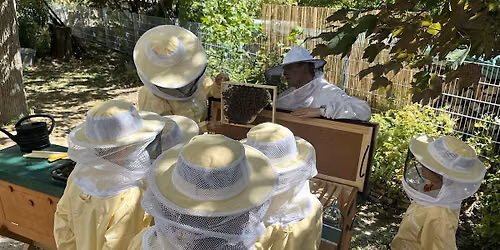 Schulbienen erleben - Tag der offenen T\u00fcr
