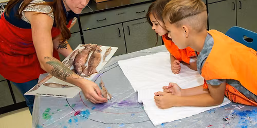 Squid Dissection and Printing