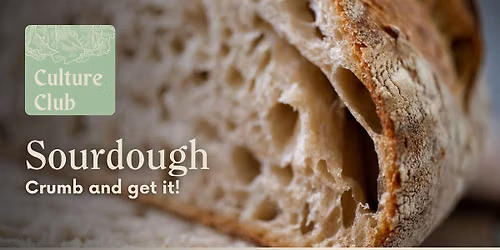 Culture Club - Sourdough - crumb and get it!