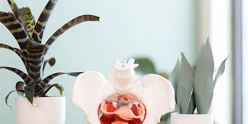 Frankenmuth Bladder, Bowel, and Bedroom Bliss - Women's Wellness Workshop