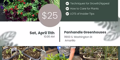 Vegetable & Ornamental Container Gardening