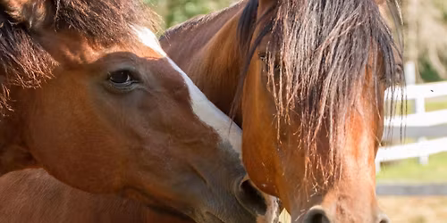 Giving Back to the Community 2025