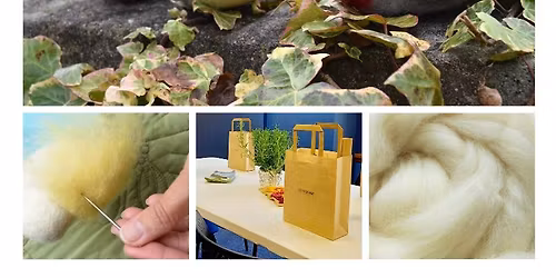 NEEDLE FELTING Workshop - Aberdeen (H1, Hill of Rubislaw)