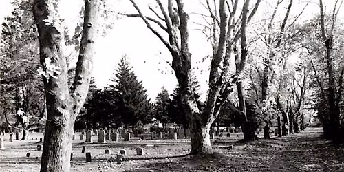 Sinners, Saints & Silent Souls: A Special Halloween Walking Tour