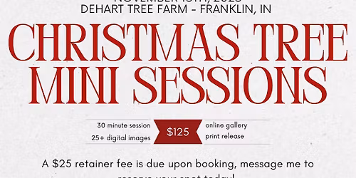 \ud83c\udf84\u2728$125 CHRISTMAS TREE MINIS\u2728\ud83c\udf84