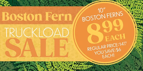 Truckload Fern Sale | Tyler, TX