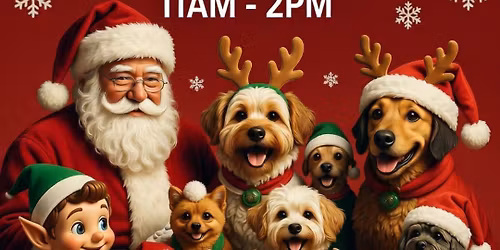 Free pet Santa photo