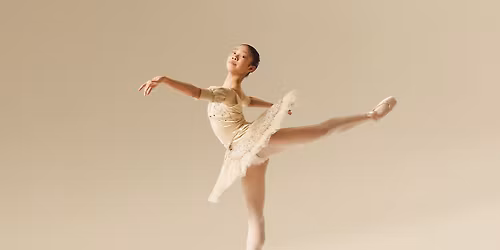 Professional Division Audition