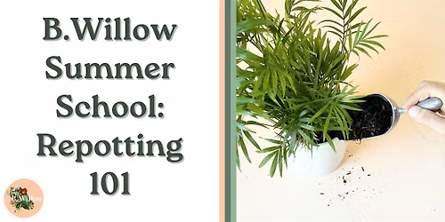 B.Willow Summer School: Repotting 101