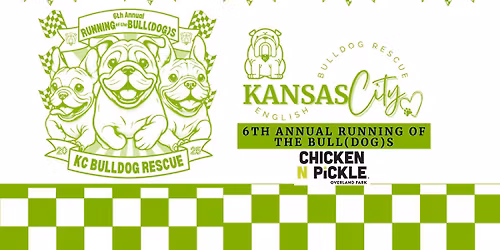 6th Annual Running of the Bulls