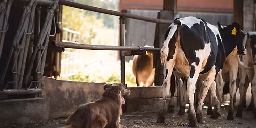 Farma t\u00e1bor Pasepes