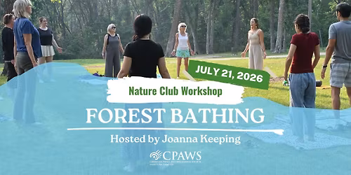 Workshop: Forest Bathing
