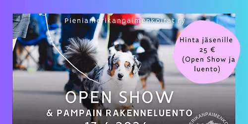Pieniamerikanpaimenkoirien OPEN SHOW & rakenneluento (Inga Cerbule)