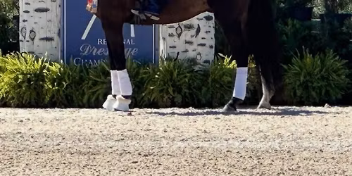 Clinic with Adam Cropper