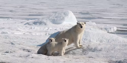 CONF\u00c9RENCES FILM\u00c9ES " GROENLAND"