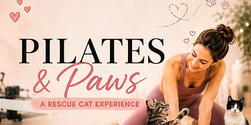 Pilates & Paws: A Rescue Cat Experience